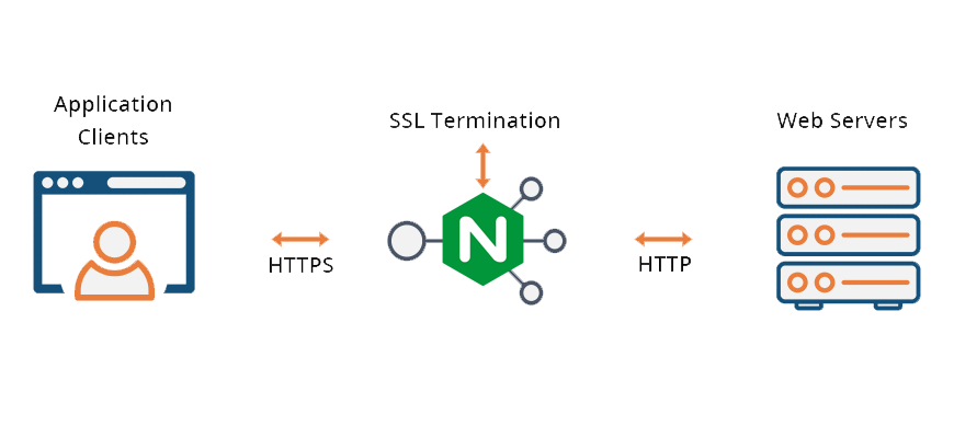 Ссл контур. Терминация SSL что это. Nginx обратный прокси. Центры сертификации SSL. Прокси серверы шифрует трафик.